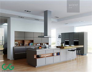 Goldreif by Poggenpohl Pure Kitchen 
